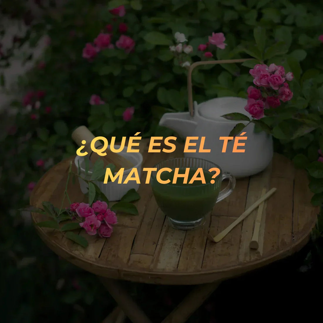 Qué es el té matcha y por qué cada vez más personas lo incorporan a su rutina