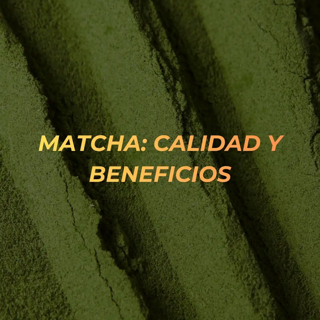 matcha calidad y beneficios