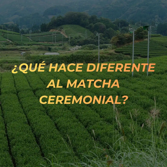 ¿Qué hace diferente al matcha ceremonial?
