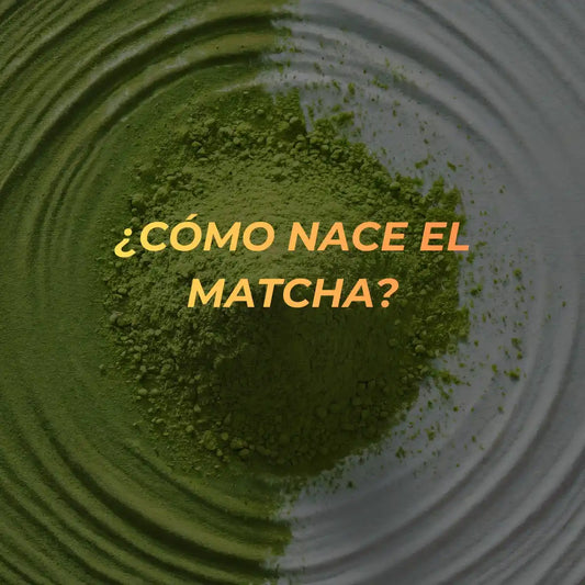 Por qué el matcha no es una moda