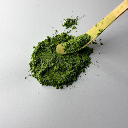 matcha ceremonial premium polvo original CAMÉA